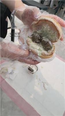 【喵喵大王】211女神制作黄金汉堡    250108-1