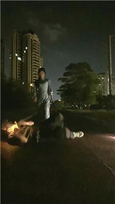 【薇薇】狗链户外遛狗犬化 bf51770