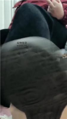 【是拽拽唉】废物秒设    250130-23