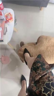 【小金开】气质女神-高跟裸足虐贱奴-骑马