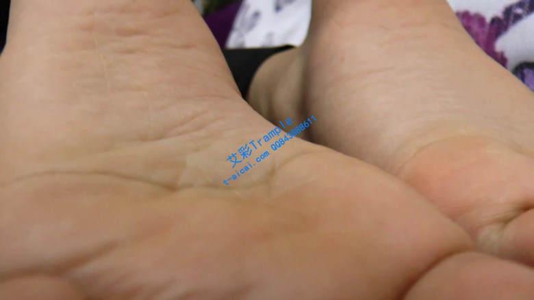 【珊瑚湾】GTS POV 同事变成小虫子