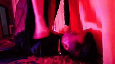 〖H.P.L栖心之栈〗—东京食尸鬼同人剧场：暴踢篇