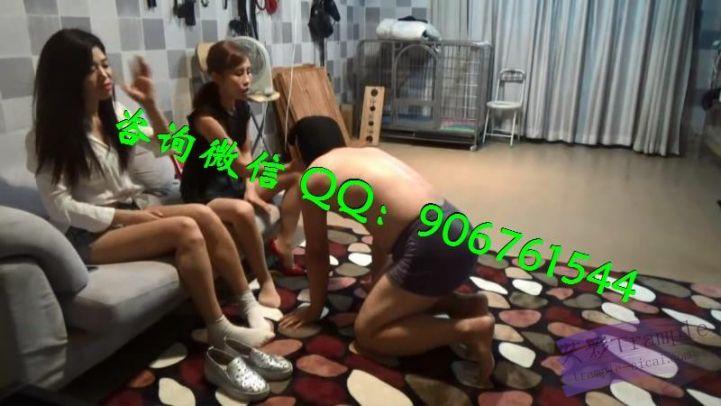 品丝阁双主刁难偷懒狗 品丝阁双主刁难偷懒狗