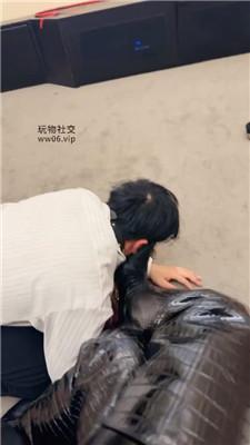 【倪小主】高跟长靴踩踏/狂抽耳光/骑狗背喂口水 bf49180