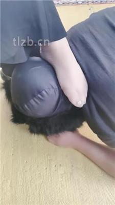 【魔鬼天使】高跟碾压狗爪/强制闻鞋/磕头求饶/骑马爬