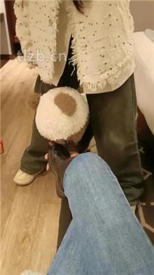 【爱可呀】双S-伺候超模学姐-胯下羞辱/舔脚清理鞋底