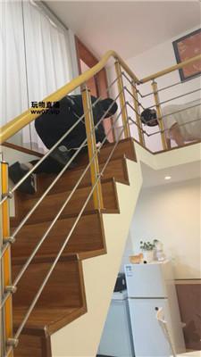 【泡芙S】女神范S-暴揍兄弟奴 bf51302