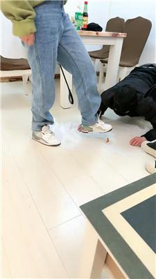 【乔伊】双S-运动鞋暴力踢踹虐打/脚下喂食【三视角版】 bf49221