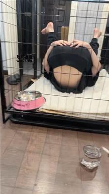 【佳禾】圈养狗笼-狗盆喂食-赏赐洗澡水 JS250325-37