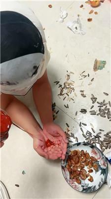 【锅盖子】强迫喂食呕吐物 JS250106-16