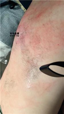 【千千】白领S-重度鞭打-高跟踩 bf51886