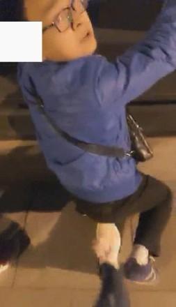 vivi,跨年夜车展遛狗