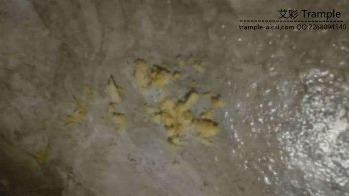 陌陌上认识的足浴店女技师的初次调教