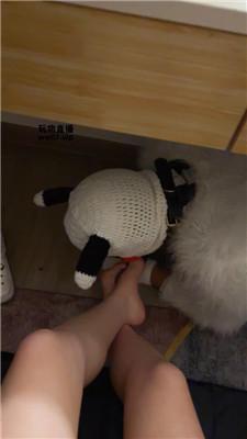 【煎妮】桌底下的人形犬 JS250408-13