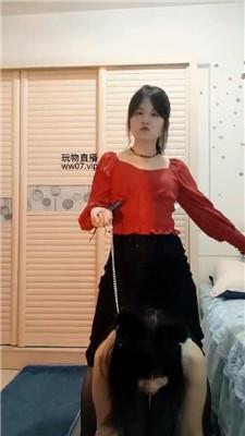 【熊宝】狗链遛狗女神犬 bf50778