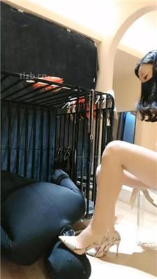 【稚惜】车模美腿S-囚禁狗笼虐