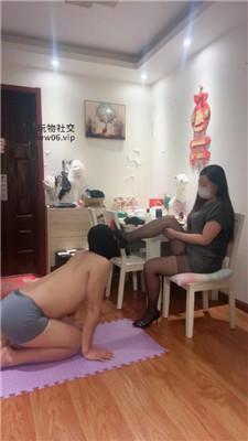 【水凝】下跪伺候-御姐黑丝高跟虐 JS250204-19