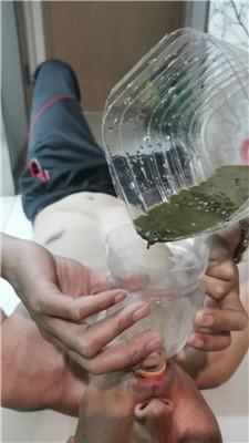 【芝芝女王】舔圣水/爱舔脚的老狗 JS250427-6