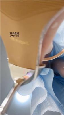 【酒鸽】灯    250227-5