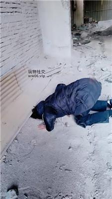 【营S】双S-户外虐打偷拍狗 JS250222-8