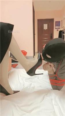 【朱迪】双S-捆绑骑马强制犬化【双视角版】