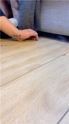 【月喧女王】双S-轮流舔鞋-脚下喂食-骑马耳光 JS250218-4