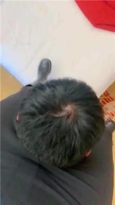 【蜜蜜骑士】骑脖转胯/长靴踩踏