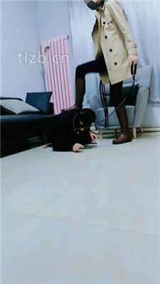 【文文文文】双S素人-跪舔脏鞋底/长靴踩狗/闻鞋【双视角版】