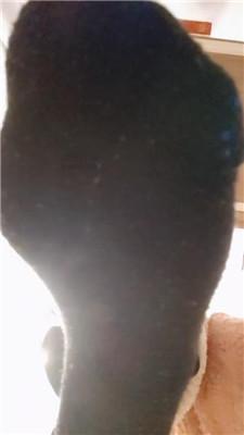 【上海汤圆】红黑棉袜    250130-21