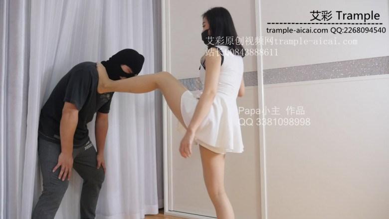 小主高抬腿杀狗