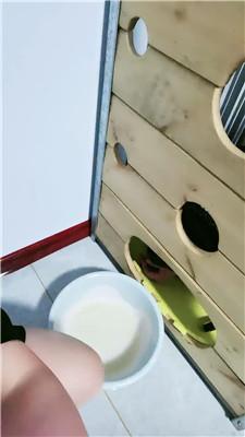 【若莞】枷锁刑具锁奴囚禁 JS250108-31