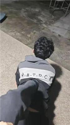 【yukis】户外饭店餐厅t狗奴