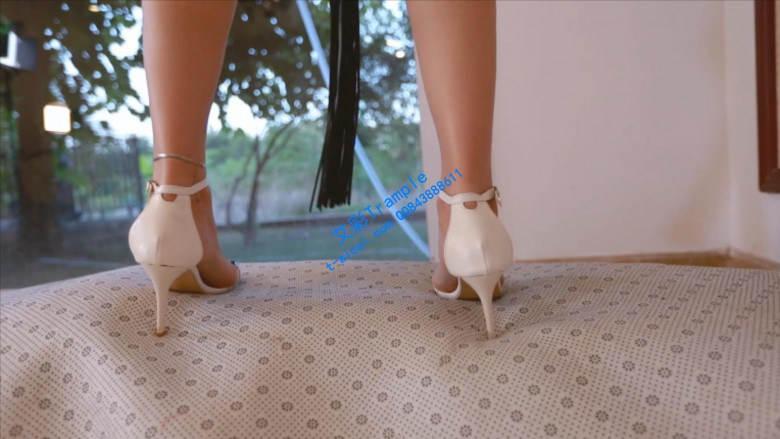 〖H.P.L栖心之栈〗—〔尔岚〕抗击疫情，在家玩狗