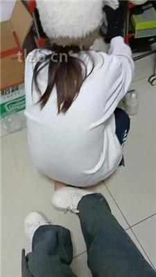 【爱可呀】母畜-清理脏鞋/闻棉袜/对鞋磕头/袜子塞嘴