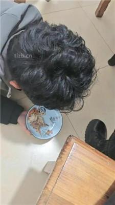 【yukis】户外饭店餐厅t狗奴