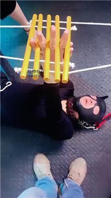 【鸿运双女团】双S-骑狗背重度暴揍虐打 bf51527