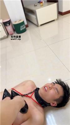 【楚楚】五花大绑重度鞭打 bf51213