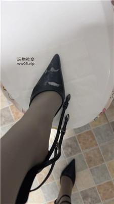 【酒鸽】黄金灯    250201-5