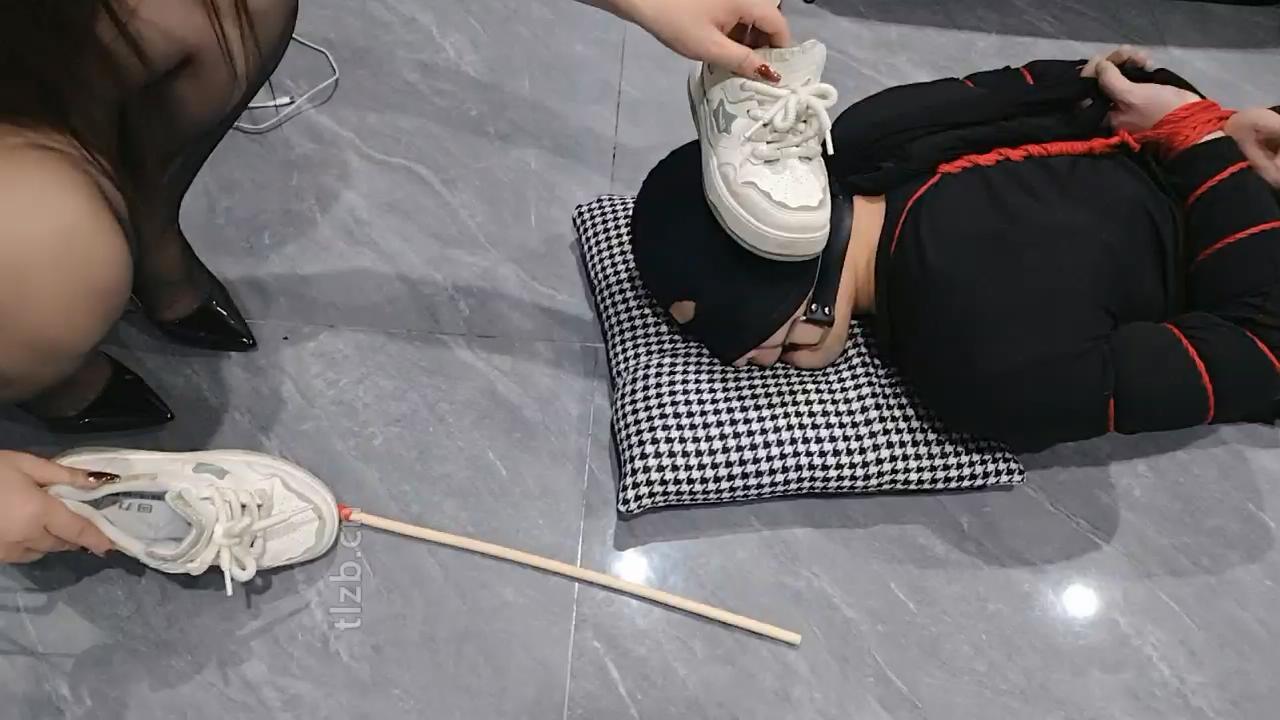 【尊欲姐姐】五花大绑-鞭打耳光/高跟踩狗/头顶鞋子