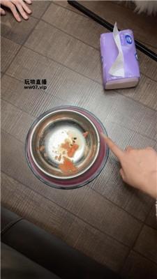 【佳禾】圈养狗笼-狗盆喂食-赏赐洗澡水 JS250325-37