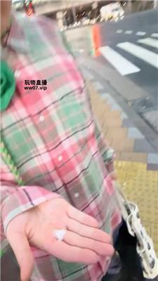 【玥樾】日本街头遛人形犬 JS250411-34