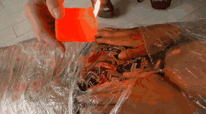 松岛黑冰鞭打滴蜡调教木乃伊 打到吐血