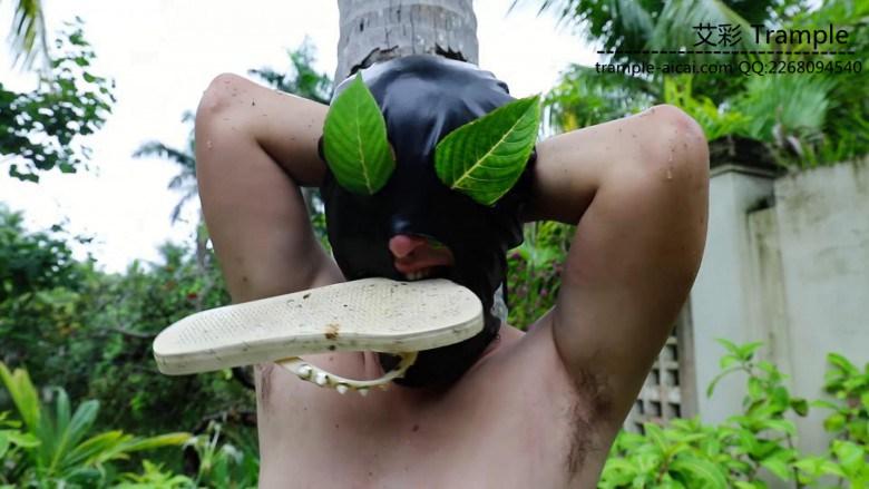 〖H.P.L栖心之栈〗—三亚小树林·树枝抽打、剃毛