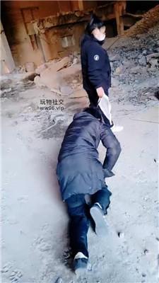 【营S】双S-户外虐打偷拍狗 JS250222-8