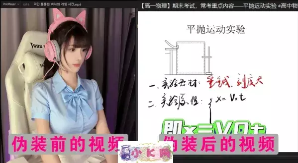 视频伪装大师VideoCamouflageMaster v1.0.0