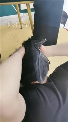 【魔鬼天使】高跟碾压狗爪/强制闻鞋/磕头求饶/骑马爬