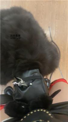 【蛇妈】彻底训化人形犬 JS250225-7