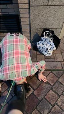 【玥樾】日本街头遛人形犬 JS250411-34