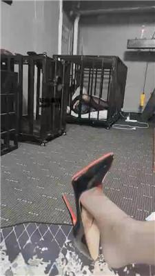 【K爷】圈养彻底犬化 JS250507-2