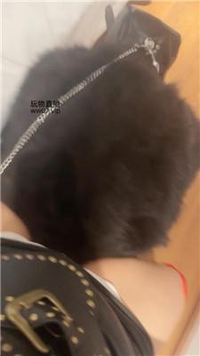 【蛇妈】彻底训化人形犬 JS250225-7